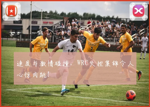 速度与激情碰撞，WRC失控集锦令人心惊肉跳！