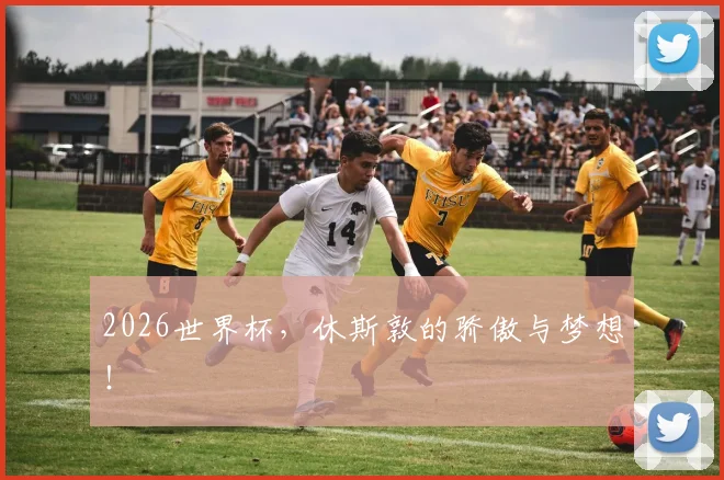 2026世界杯,休斯敦的骄傲与梦想!
