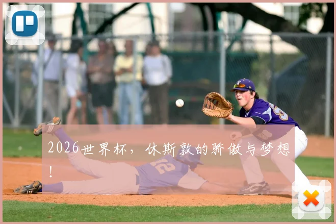 2026世界杯,休斯敦的骄傲与梦想!